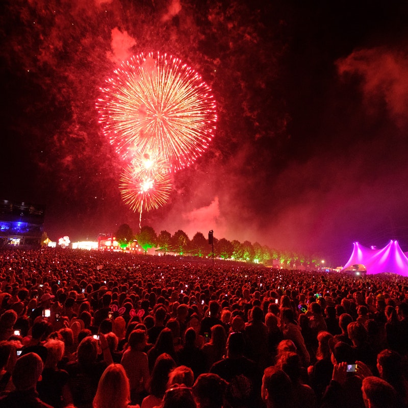 Festival Paleo Image for Festival Paleo