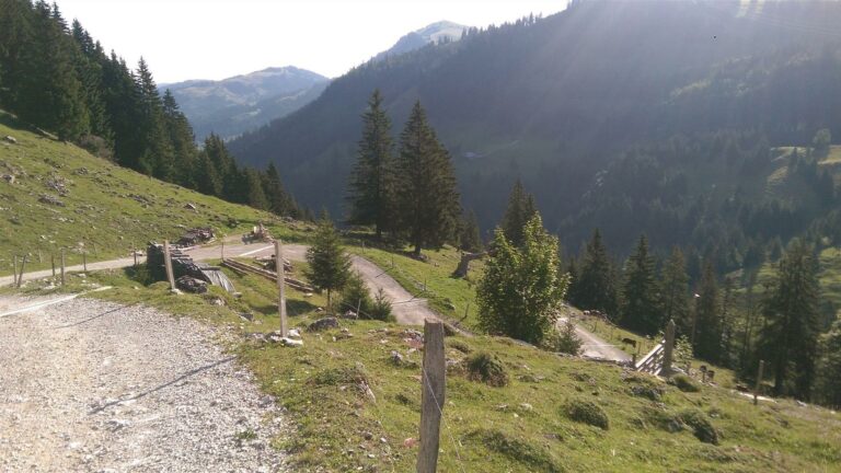 Image for 14th Stierenberg Run Schwarzsee