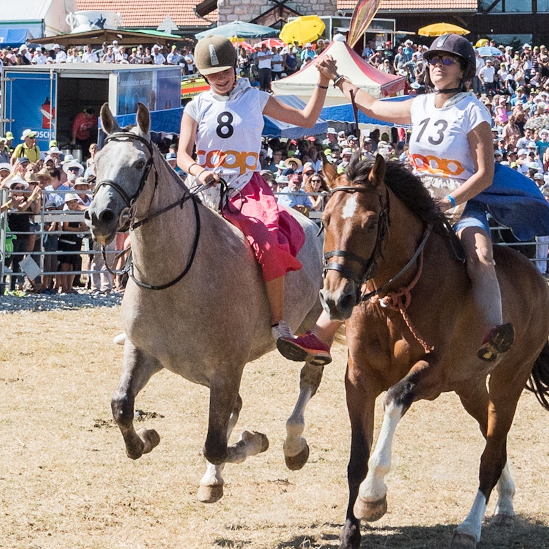 Marché-Concours Image for Marché-Concours