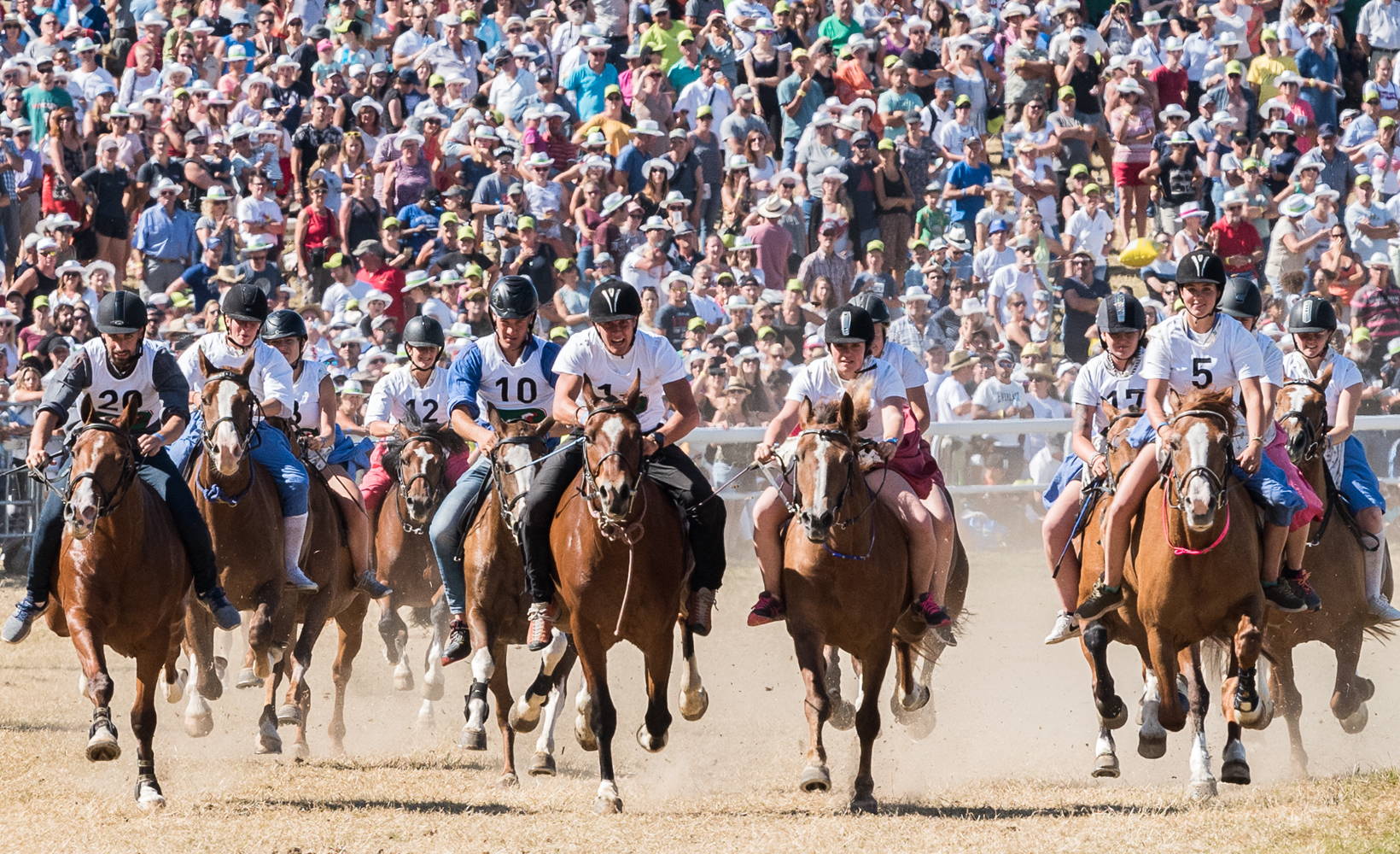 Image for Marché-Concours