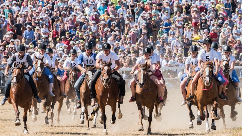 Marché-Concours Image for Marché-Concours