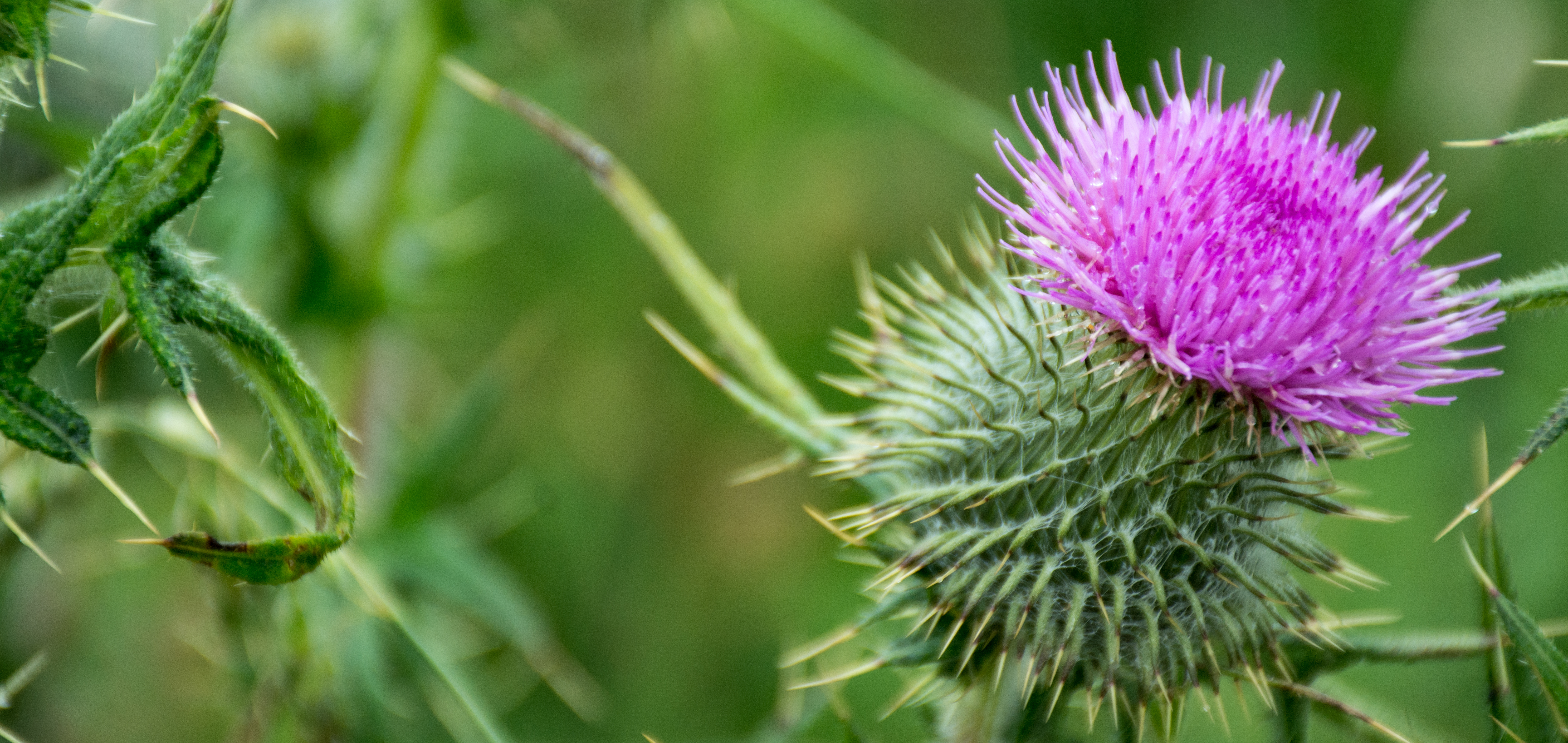 Image for Zeit für mich - mit gezielter Entspannung Rheumabeschwerden lindern
