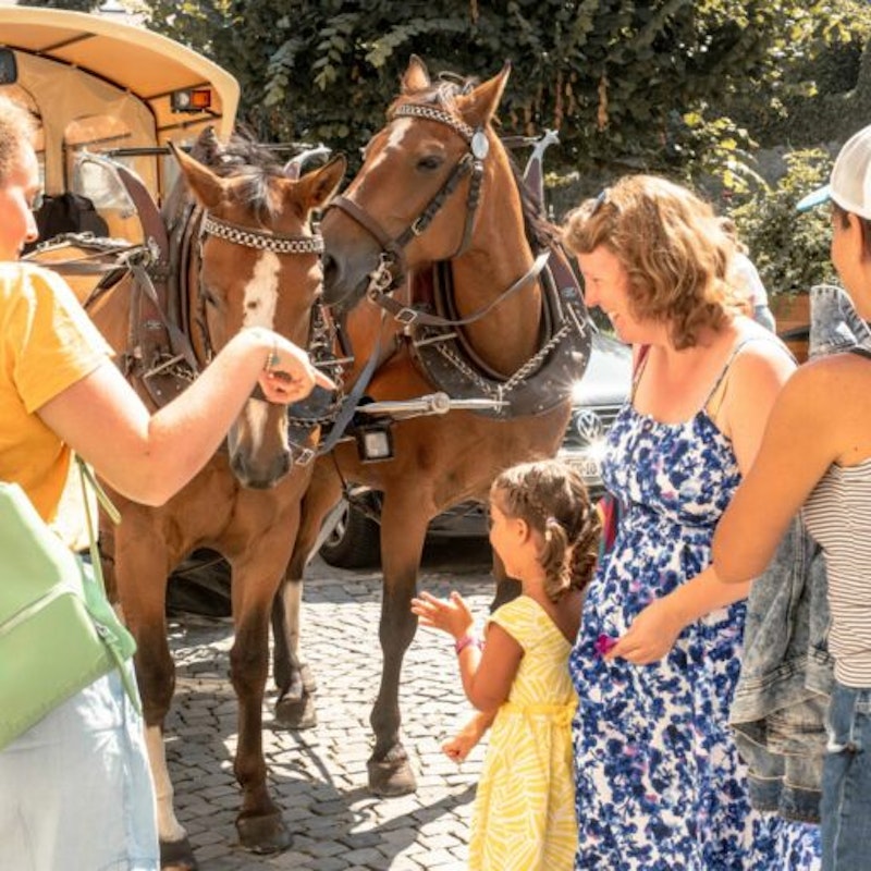 Bénichon Festival of Estavayer-le-Lac Image for Bénichon Festival of Estavayer-le-Lac