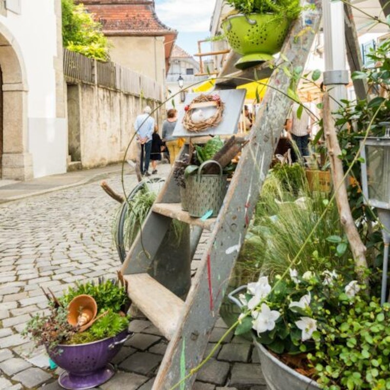 El Festival Staviac Image for El Festival Staviac