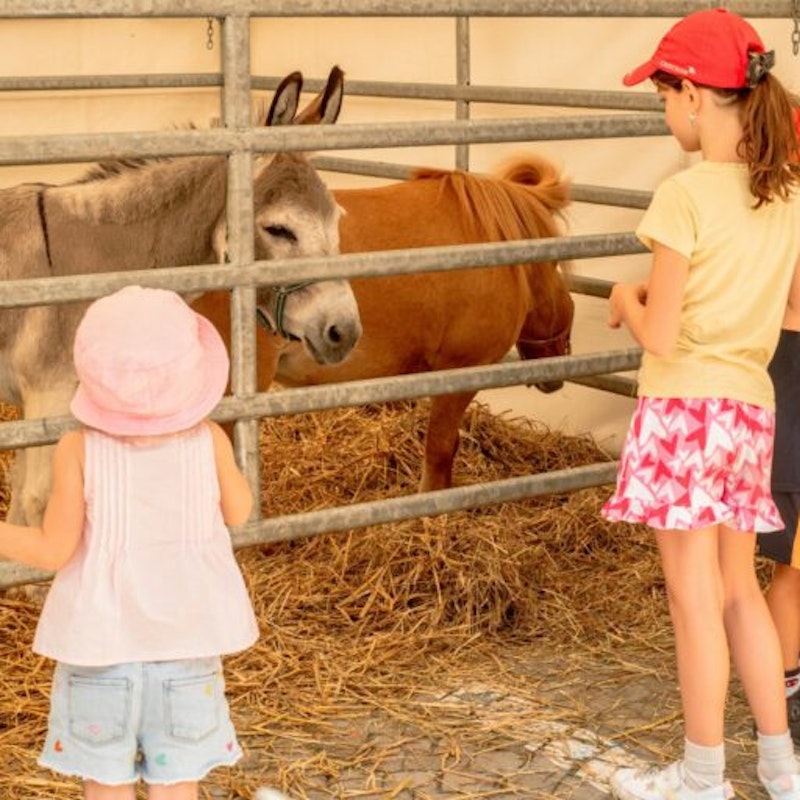 Bénichon Festival of Estavayer-le-Lac Image for Bénichon Festival of Estavayer-le-Lac