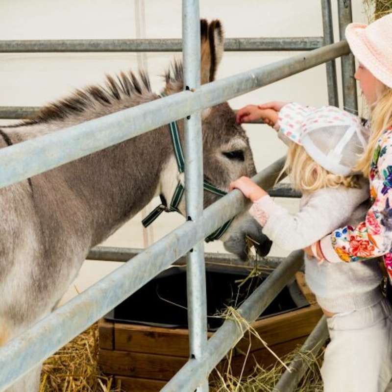 El Festival Staviac Image for El Festival Staviac