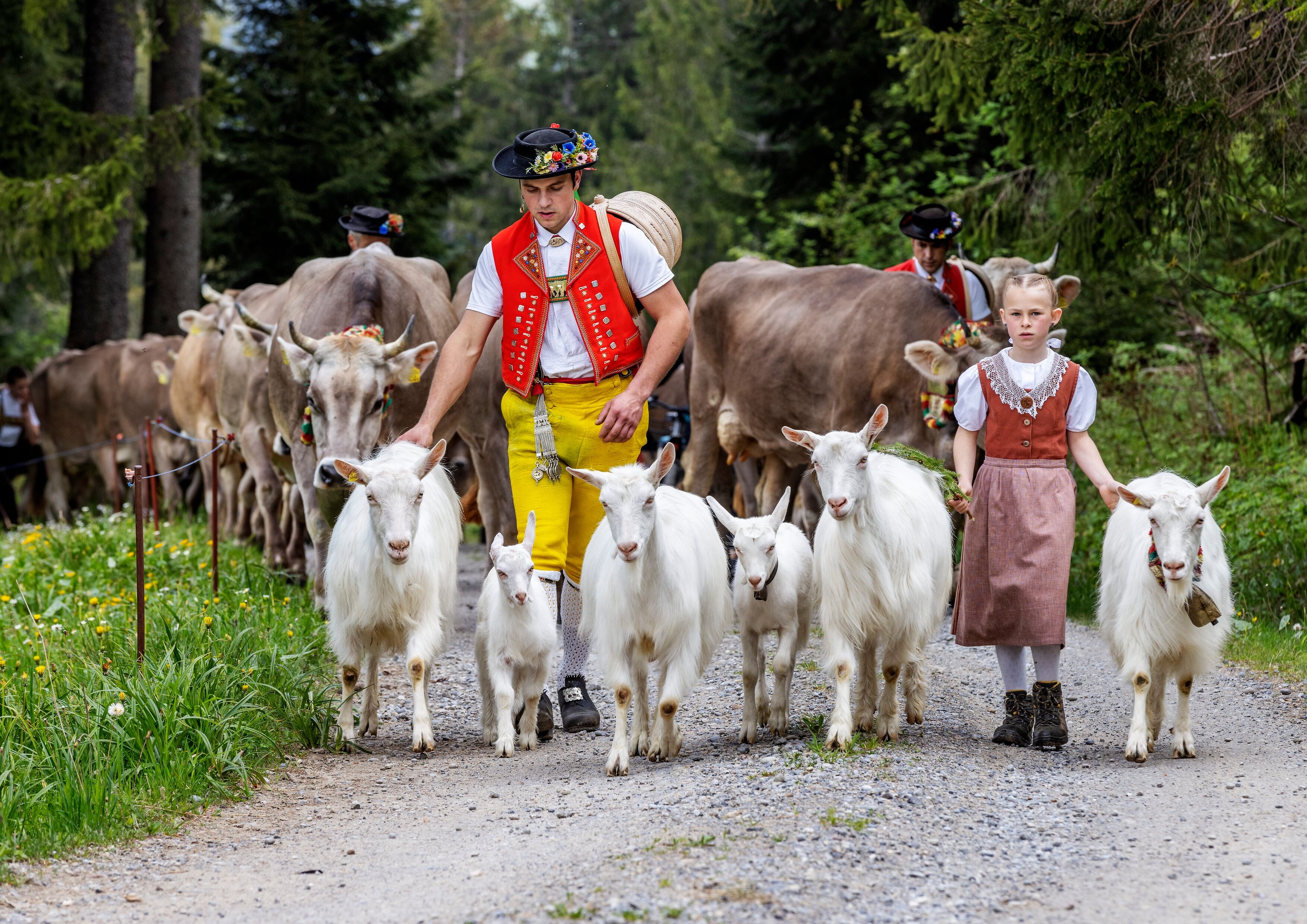 Image for Alpský sjezd a farmářský trh Urnäsch