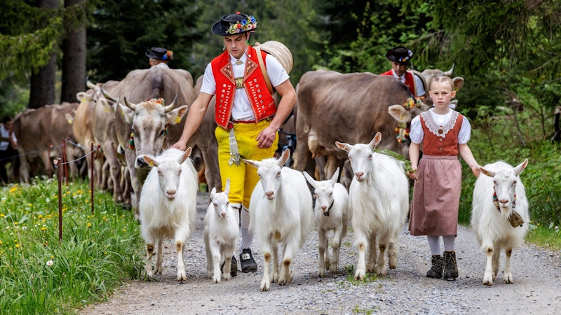 Alpský sjezd a farmářský trh Urnäsch Image for Alpský sjezd a farmářský trh Urnäsch