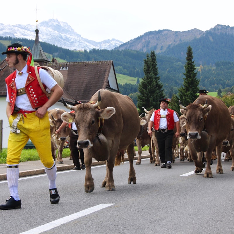 Alpský sjezd a farmářský trh Urnäsch Image for Alpský sjezd a farmářský trh Urnäsch