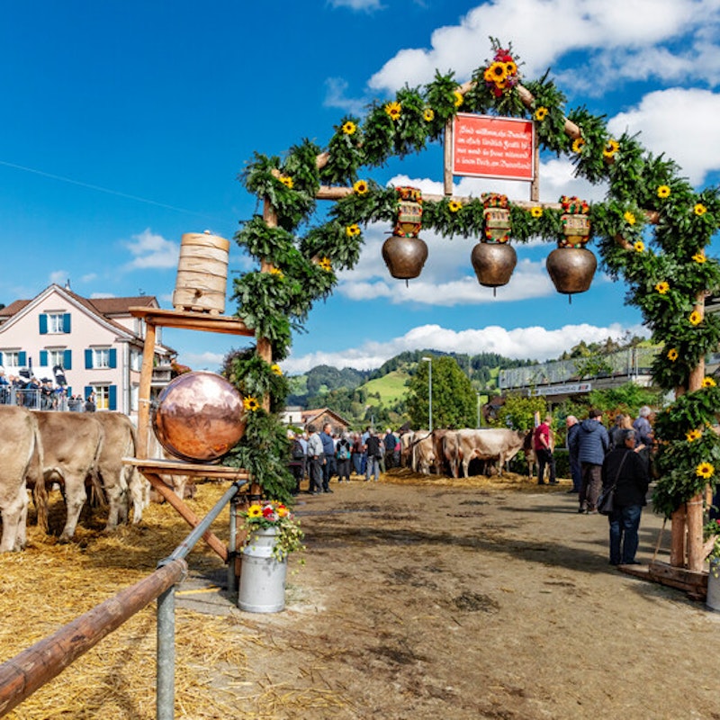 Exposición de ganado de Urnäsch Image for Exposición de ganado de Urnäsch