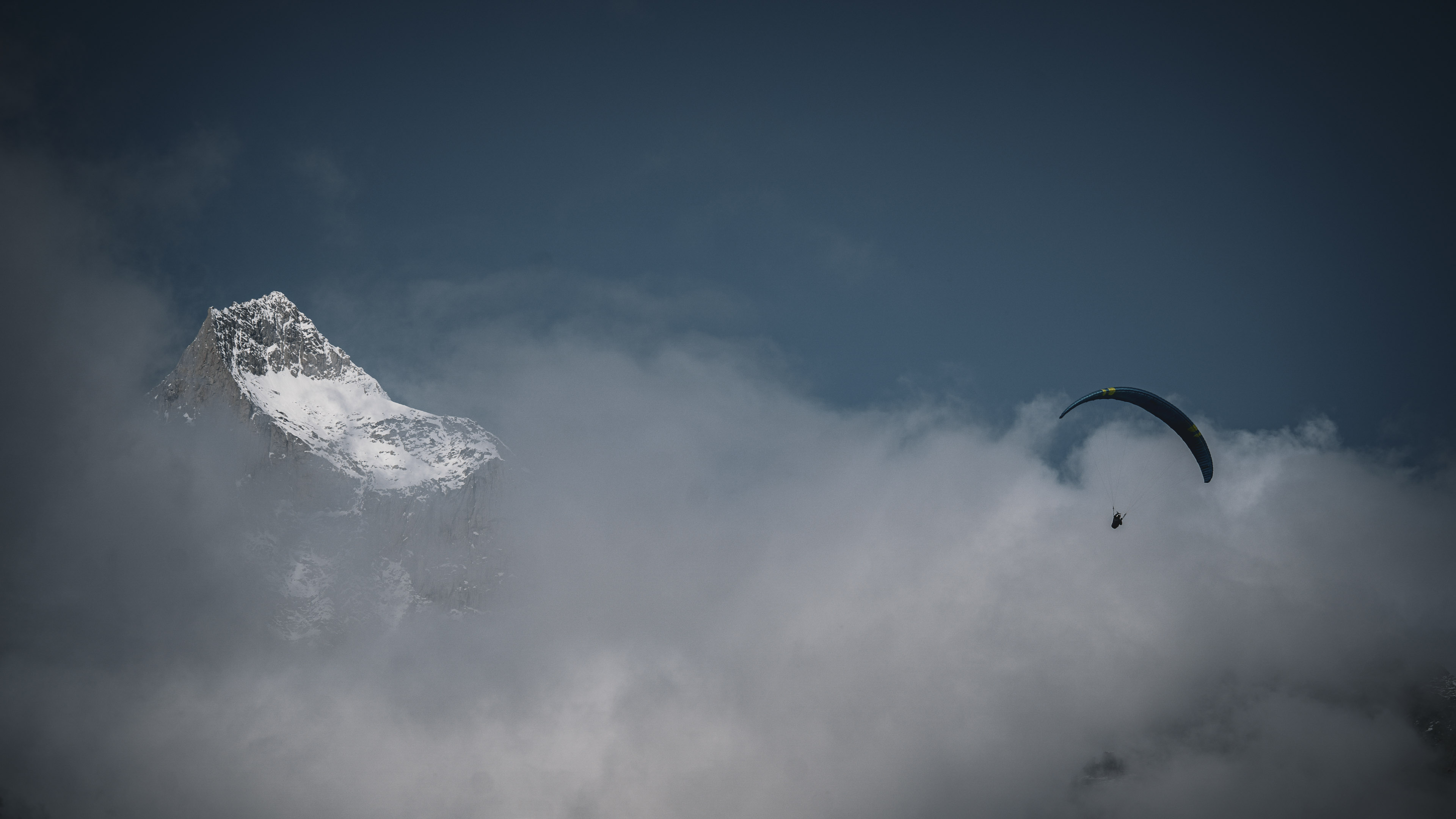 Image for Rollibocktrophy