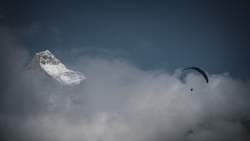 Rollibocktrophy Image for Rollibocktrophy