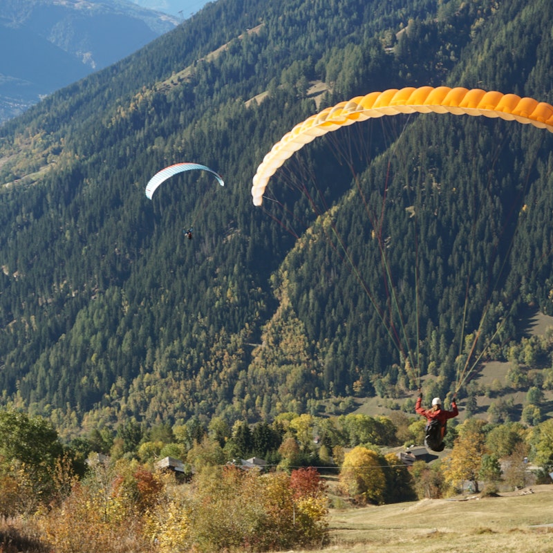 Trofeo Rollibock Image for Trofeo Rollibock