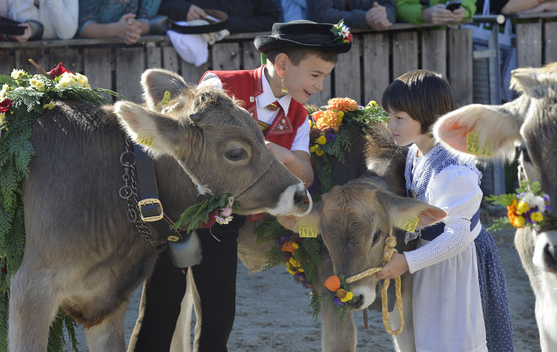 Image for 82º OLMA - Salão Suíço da Agricultura e da Alimentação