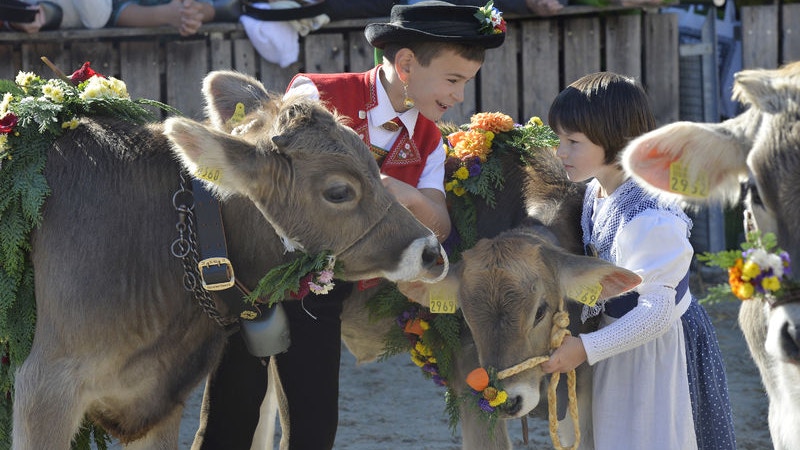 82º OLMA - Salão Suíço da Agricultura e da Alimentação Image for 82º OLMA - Salão Suíço da Agricultura e da Alimentação