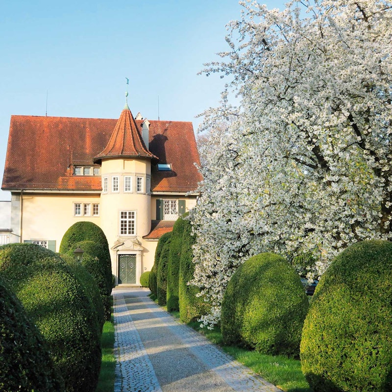 Rundgang durch das Museum Haus C.G. Jung Image for Rundgang durch das Museum Haus C.G. Jung