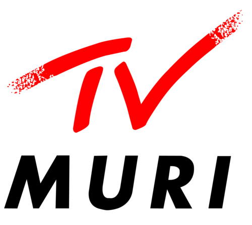 Image for Männerriege Muri | Marschgruppe