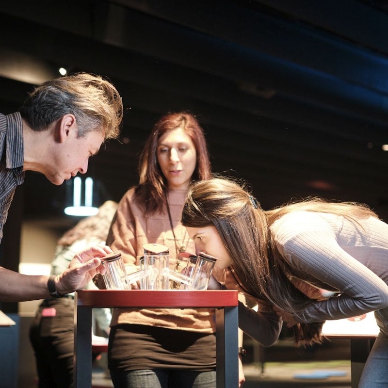 Hoofd werelden Image for Hoofd werelden