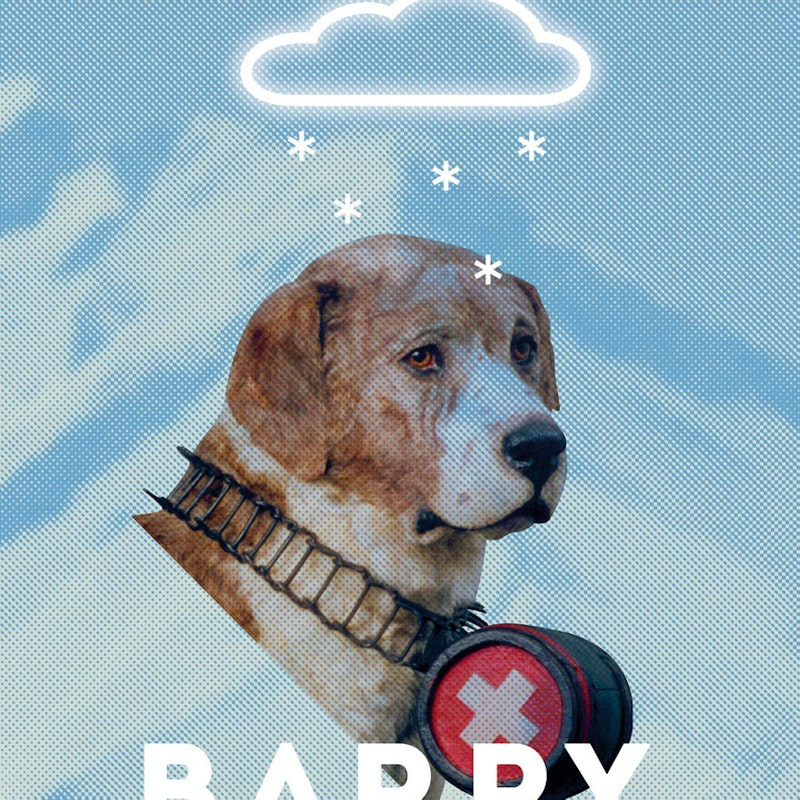 Barry - el legendario perro San Bernardo Image for Barry - el legendario perro San Bernardo