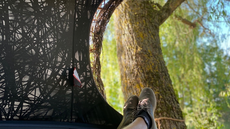 Los extraordinarios jardines Image for Los extraordinarios jardines