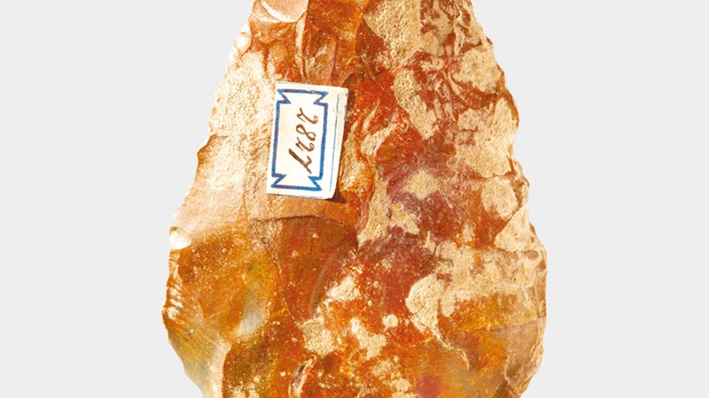 Arqueología Suiza Image for Arqueología Suiza