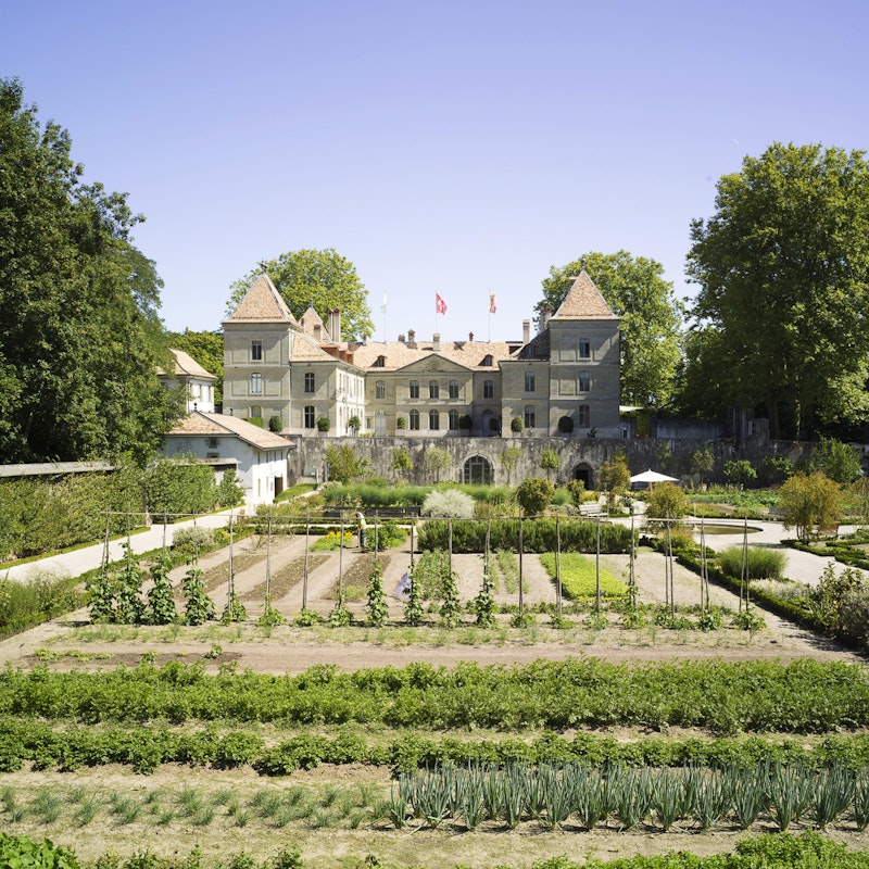 The Kitchen Garden Image for The Kitchen Garden