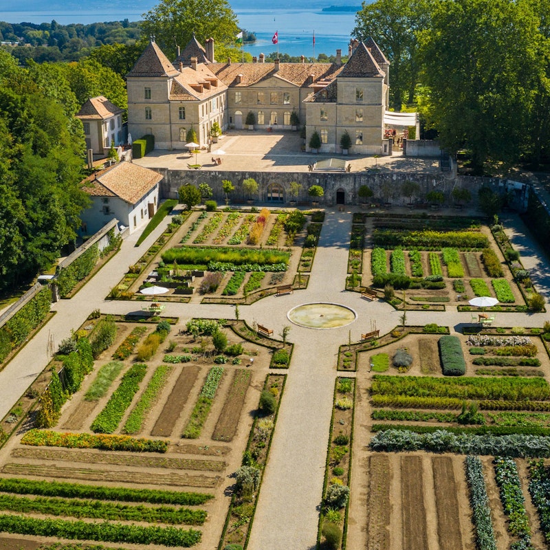 The Kitchen Garden Image for The Kitchen Garden