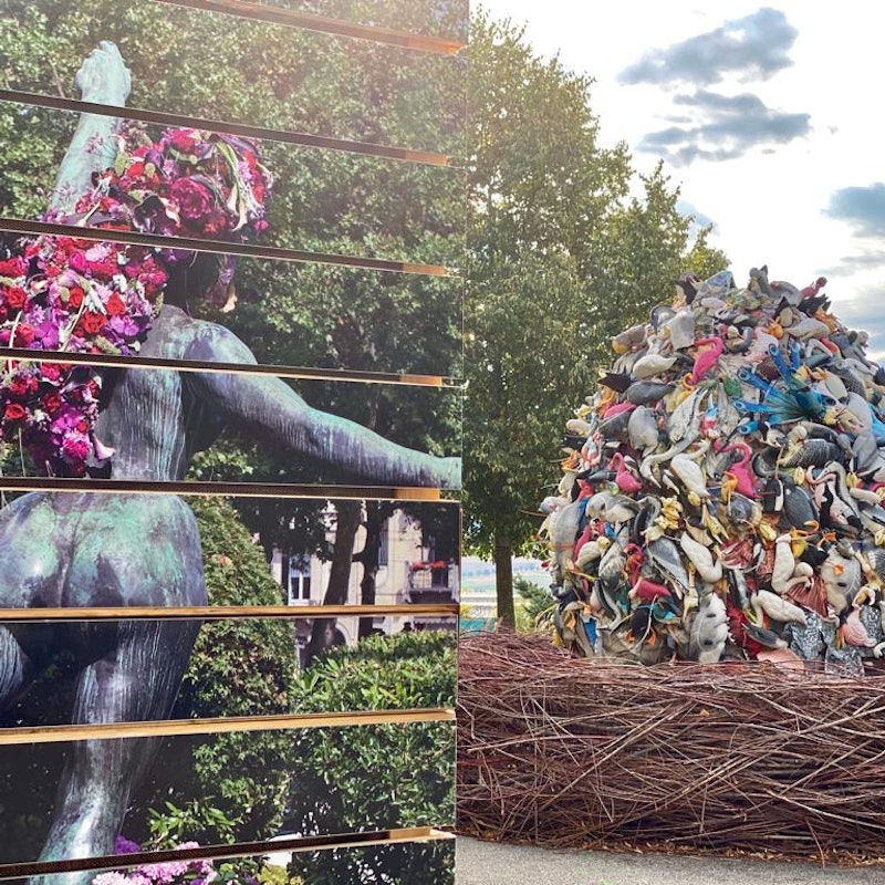 The Unusual Gardens Image for The Unusual Gardens