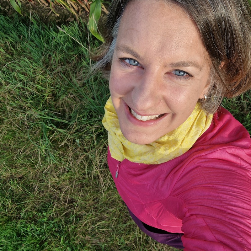 Shinrin Yoku / Waldbaden Summer Special 2025 Image for Shinrin Yoku / Waldbaden Summer Special 2025