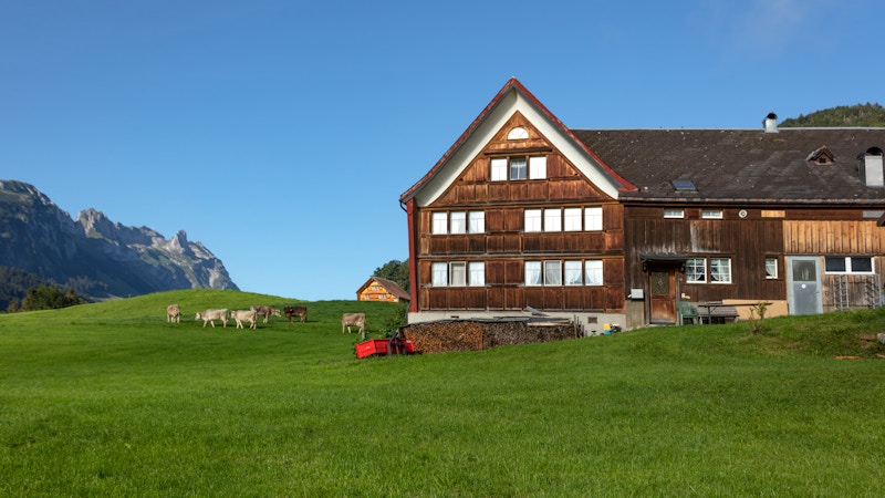 Besuch auf dem Bauernhof Image for Besuch auf dem Bauernhof