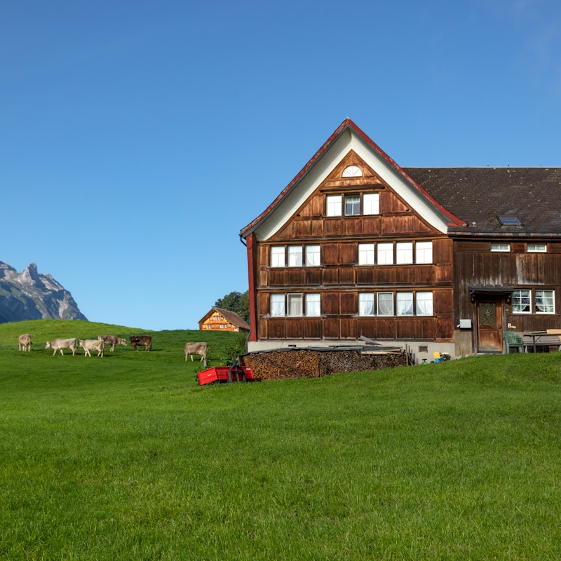 Návštěva farmy Image for Návštěva farmy