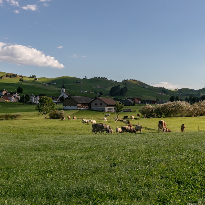 Návštěva farmy Image for Návštěva farmy