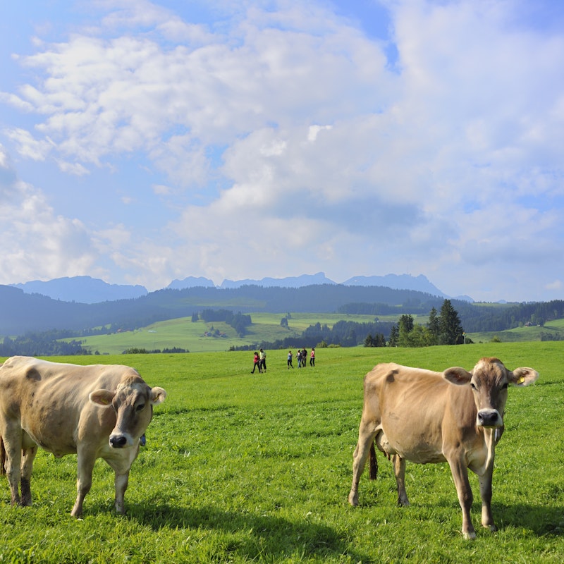 Návštěva farmy Image for Návštěva farmy