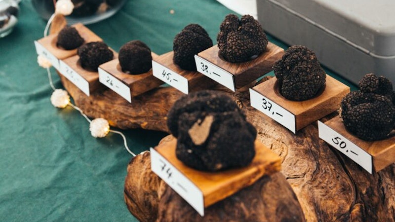 Lanýžový trh Murten Image for Lanýžový trh Murten