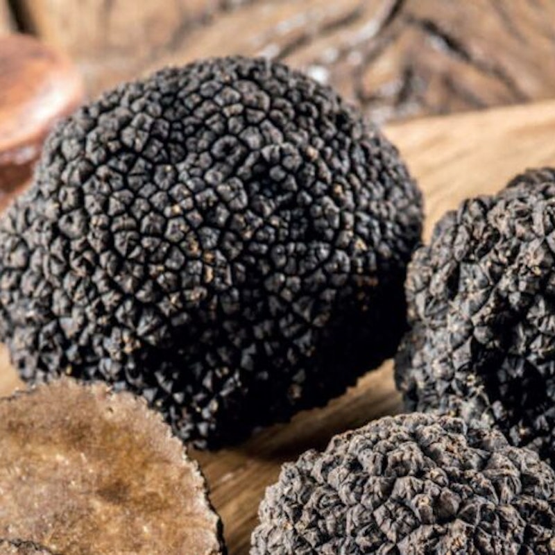 Lanýžový trh Murten Image for Lanýžový trh Murten