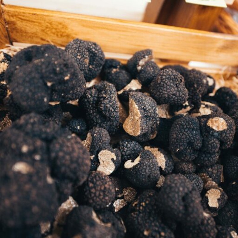 Lanýžový trh Murten Image for Lanýžový trh Murten