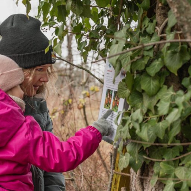 Chasse au trésor & fondue au choc Image for Chasse au trésor & fondue au choc