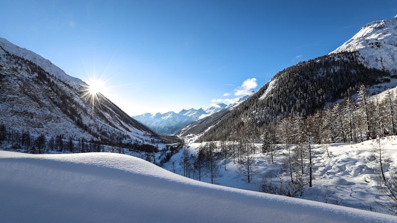 Winter zonnewende winterslaap retraite Image for Winter zonnewende winterslaap retraite