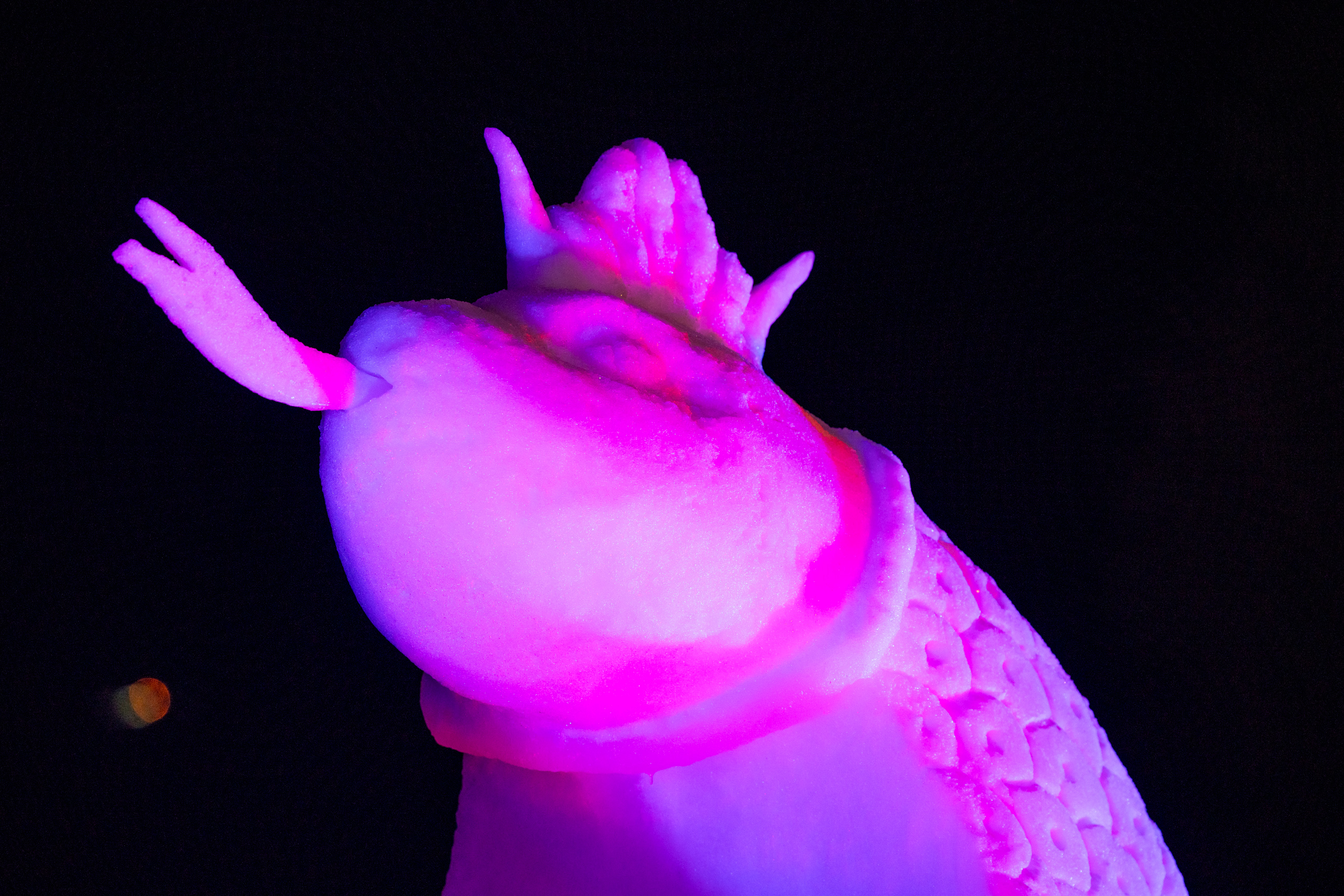 Image for 41. World Snow Festival