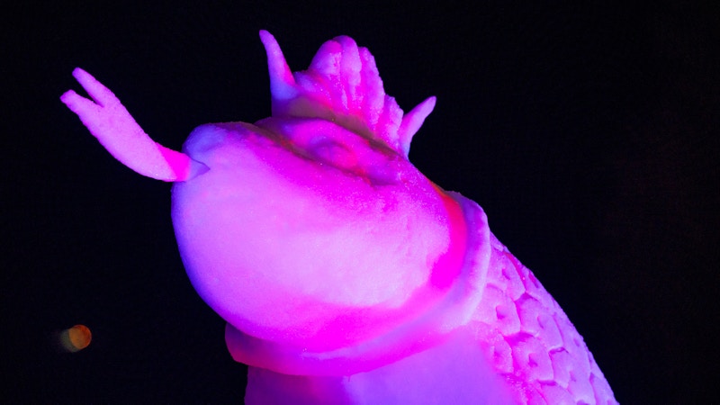 41. World Snow Festival Image for 41. World Snow Festival