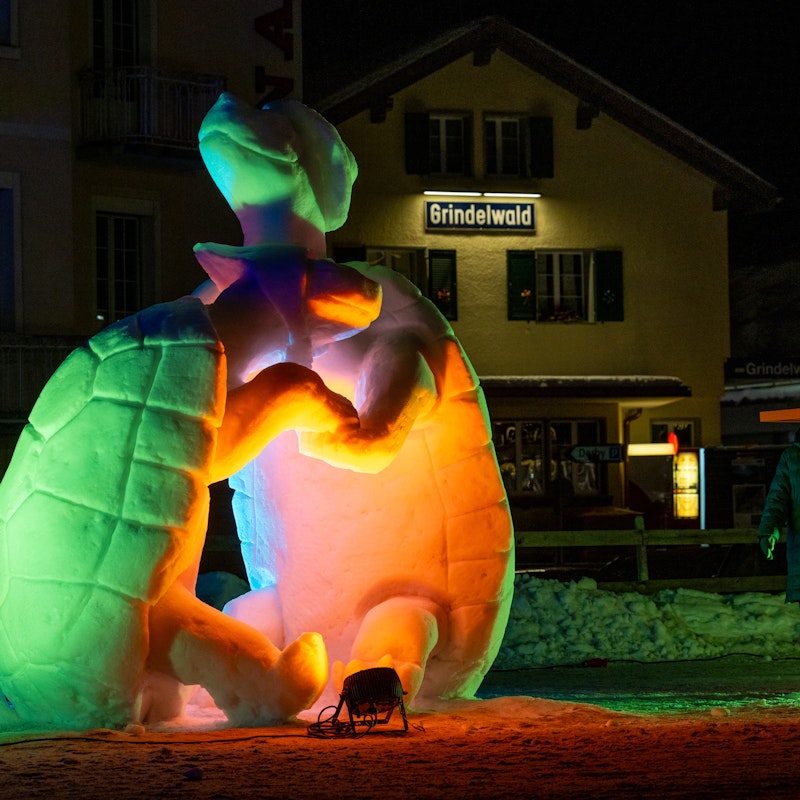 41. World Snow Festival Image for 41. World Snow Festival