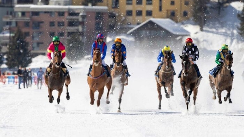 White Turf Image for White Turf