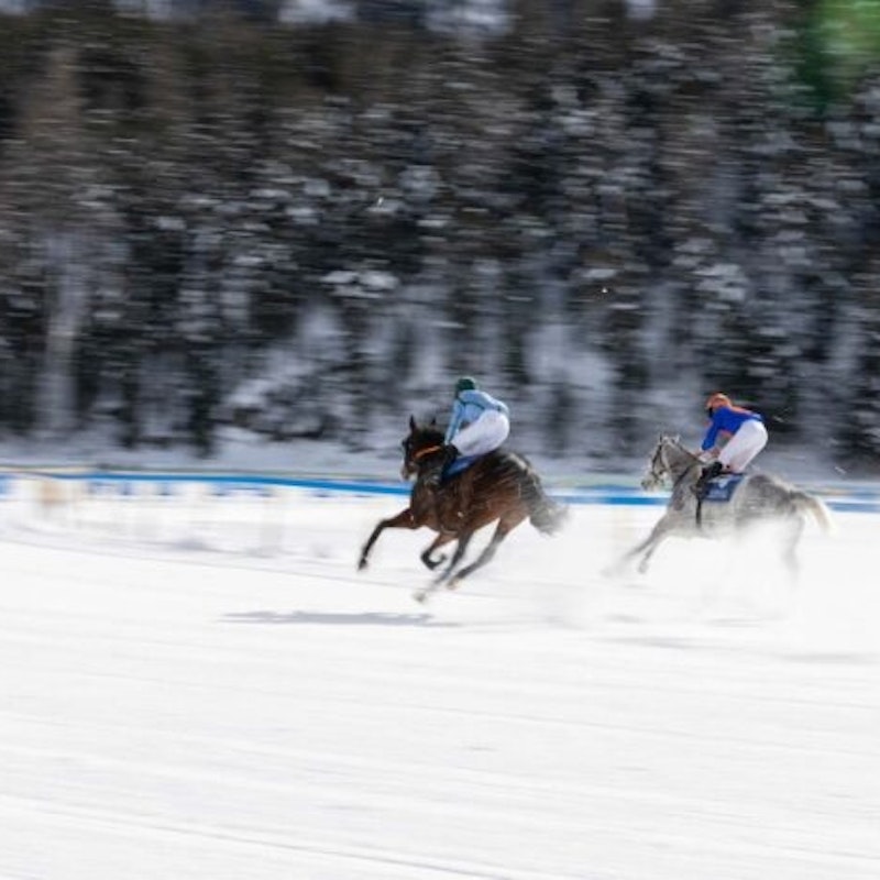 White Turf Image for White Turf