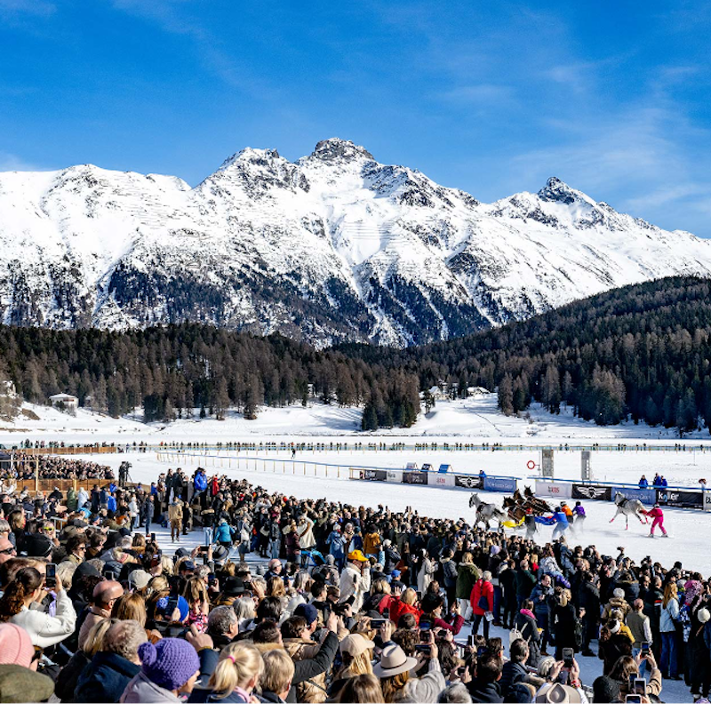 White Turf Image for White Turf