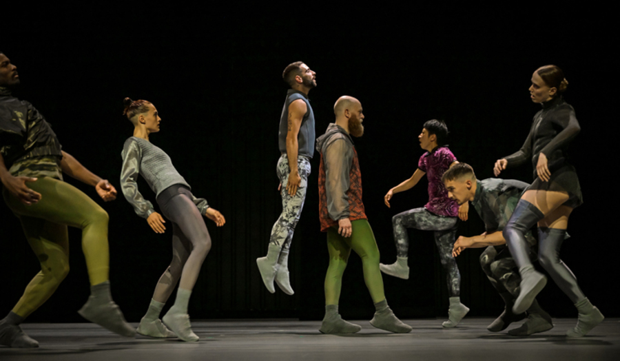 Image for Steps : tanzmainz "Sphynx"