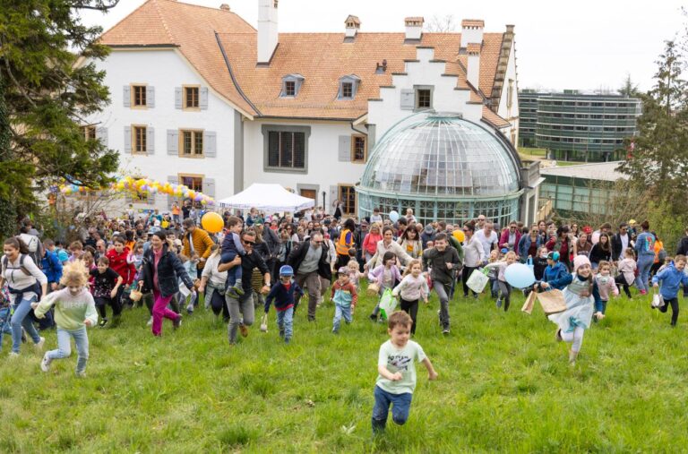 Image for Caccia alle uova