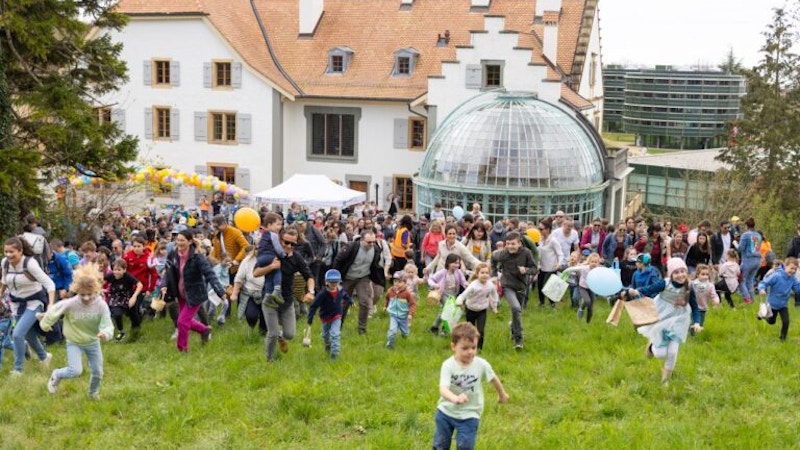 Caccia alle uova Image for Caccia alle uova