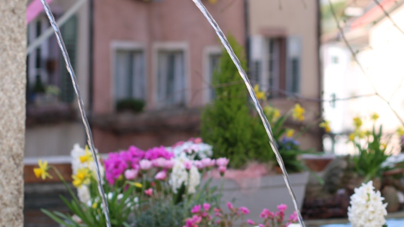 Osterbrunnen Laufenburg - Visite storiche Image for Osterbrunnen Laufenburg - Visite storiche