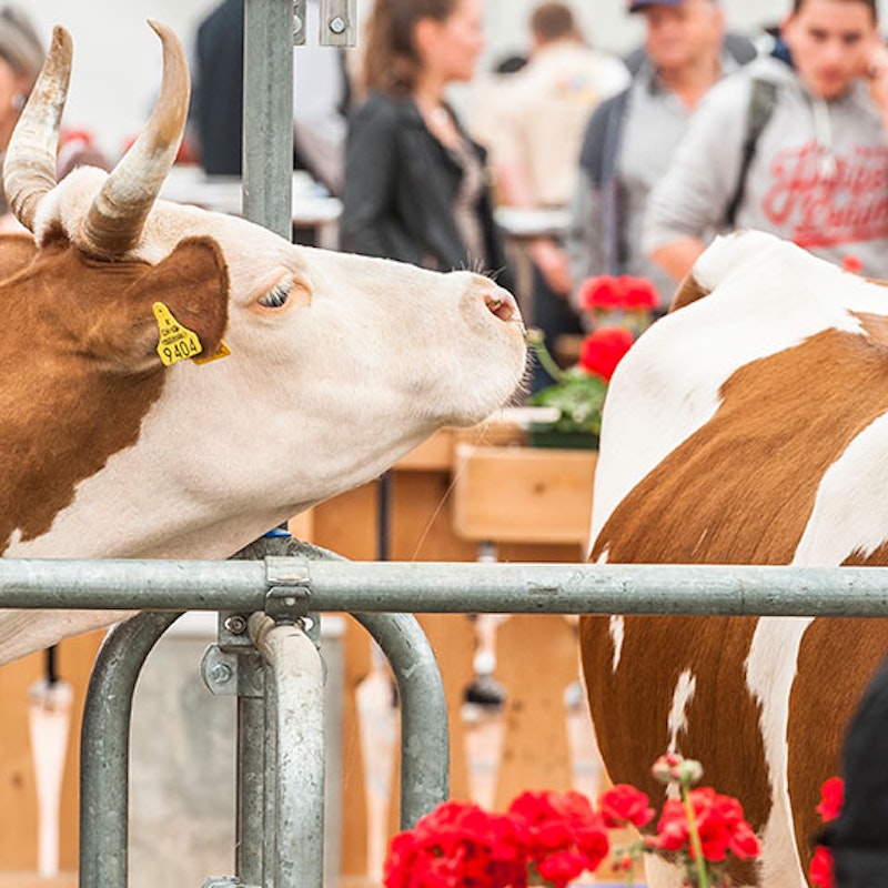 BEA 2026 Image for BEA 2026