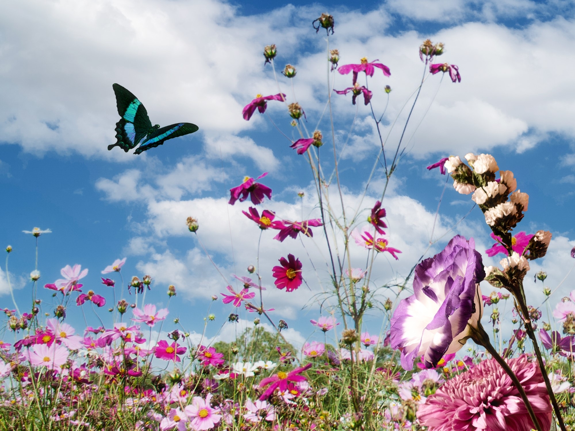 Image for Jarní trh Heiden